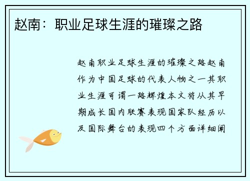赵南：职业足球生涯的璀璨之路